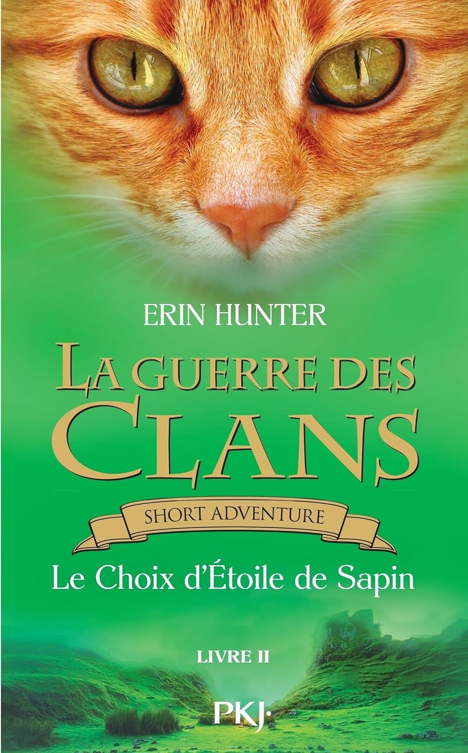 Erin Hunter - La guerre des Clans : Le Choix d'étoile de sapin