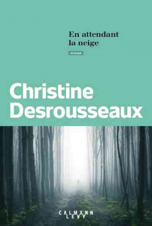 Christine Desrousseaux – En attendant la neige