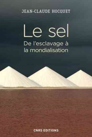 Jean-Claude Hocquet – Le sel : de l’esclavage à la mondialisation